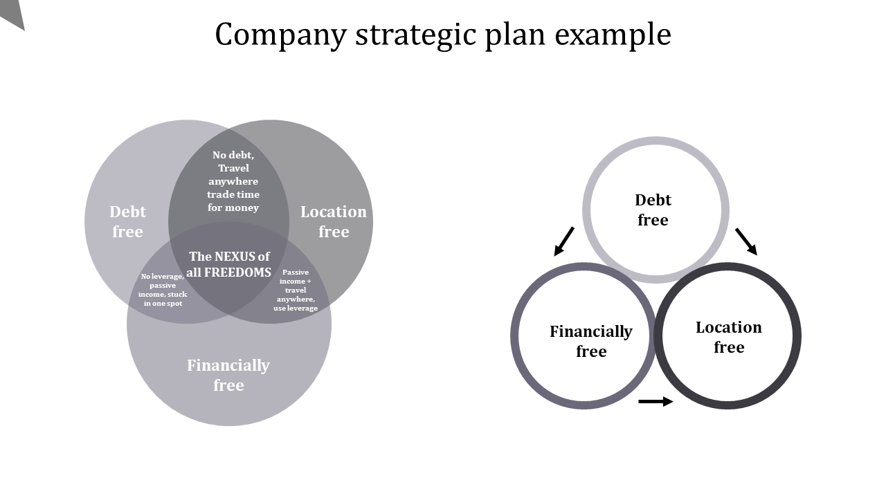 company strategic plan example-gray